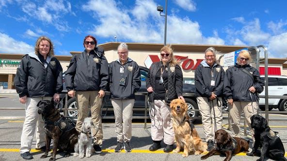Crisis dogs bring comfort to Buffalo first responders after mass shooting