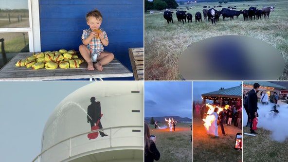 Newlyweds' fiery entrance, cow struck by lightning, condom filled with fentanyl: This week's unusual headlines
