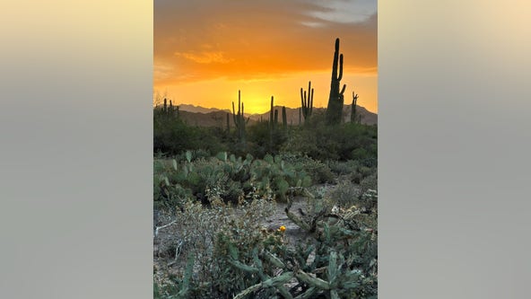 Arizona Photo of the Day - May 2022