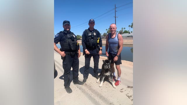 Tempe dog in need of 'fur-ever home' after almost drowning in canal: PD