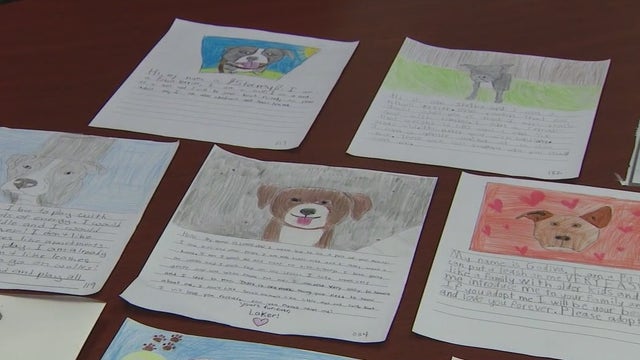 Pet project: Mesa students write letters convincing people to adopt shelter dogs