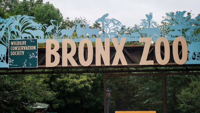 The Bronx Zoo Reopens To The Public As New York Enters Phase Four