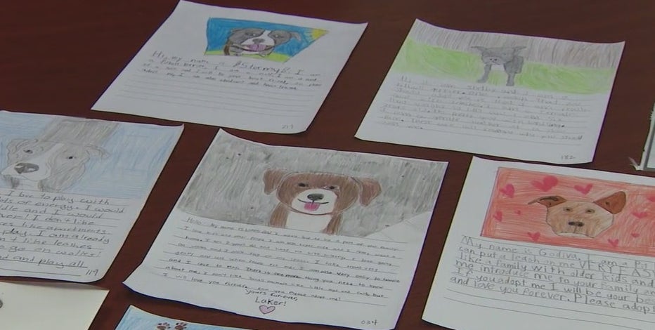 Pet project: Mesa students write letters convincing people to adopt shelter dogs