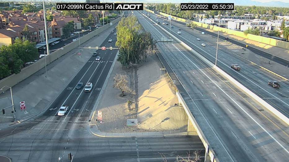 I17 Cactus Deadly