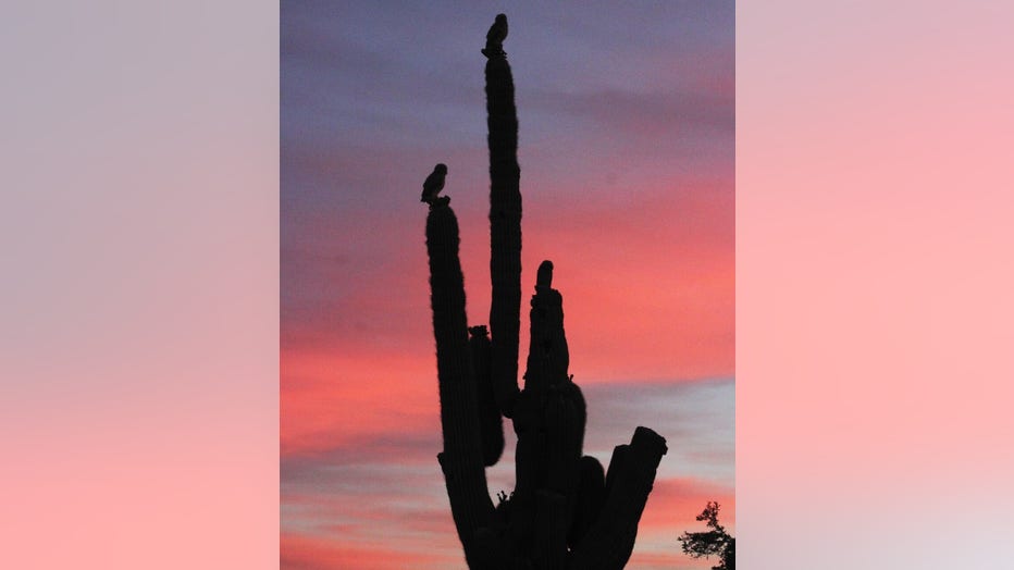 The sky is on fire for this hump day evening! Thanks Heather Hildreth for sharing this amazing photo with us all!