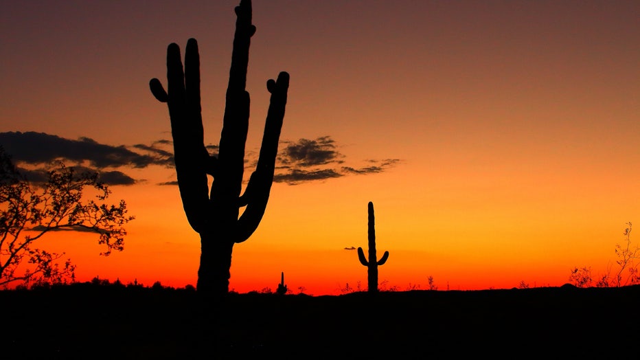 Let's soak in this lovely sunset as we continue on with the long holiday weekend. Thanks Scott Peck for sharing this amazing photo with us all!