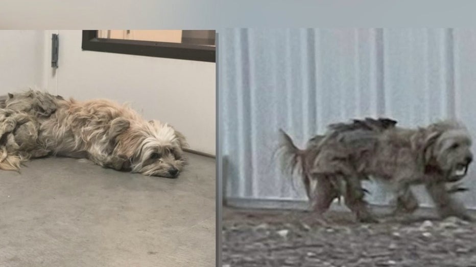 Lilibeth when she was found.