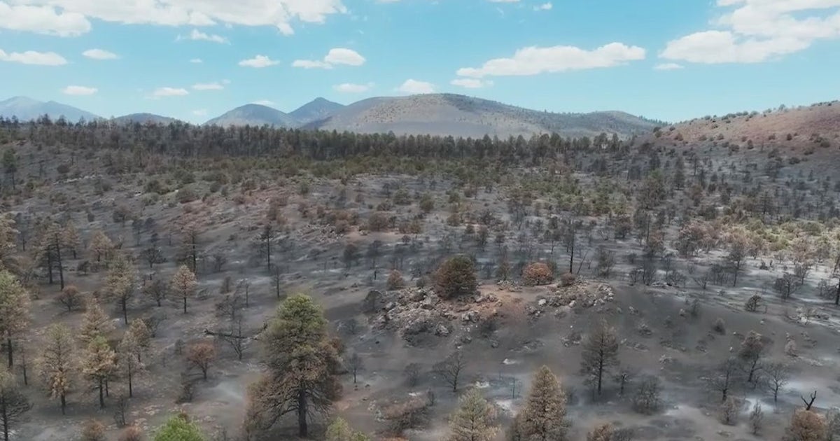 Exploded Volcano Arizona A first look at Sunset Crater Volcano in northern Arizona after it ...