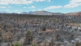 A first look at Sunset Crater Volcano in northern Arizona after it burns in the Tunnel Fire