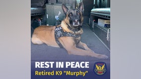 Phoenix Police K9 Officer 'Murphy' passes away after nearly a decade of service