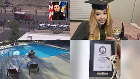 Incredible recoveries, cat graduation, a Mona Lisa attack: This week's heartwarming, offbeat headlines