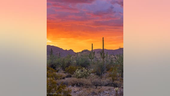 Arizona Photo of the Day - June 2022