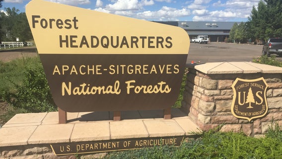 Recent rain allows forests in Arizona, New Mexico to reopen