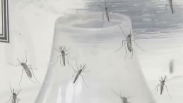 Maricopa County launches 'Fight the Bite' campaign, spreading awareness of mosquito bite prevention