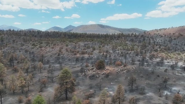 A first look at Sunset Crater Volcano in northern Arizona after it burns in the Tunnel Fire