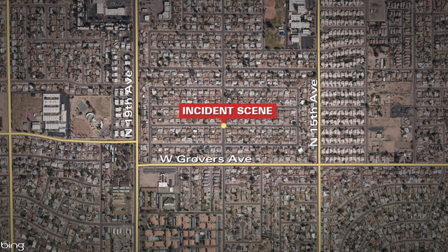 Woman sent to trauma center after bite by wolf hybrid, fire officials say