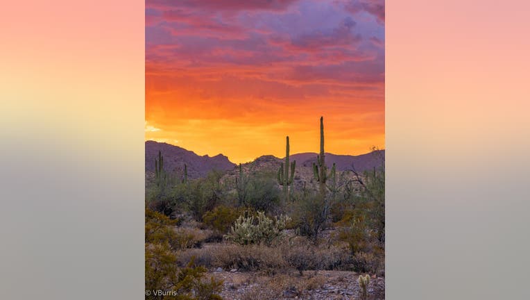 Sunsets are always mesmerizing, especially in Arizona! (Credit: Veronica)