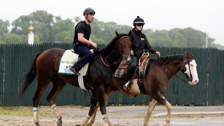 154th Belmont Stakes - Previews