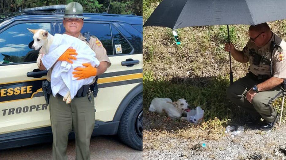 Tennessee Highway Patrol Trooper Pumpy Tudors is pictured holding Princess, alongside an image of them on June 15, 2022. (Credit: Tennessee Highway Patrol)