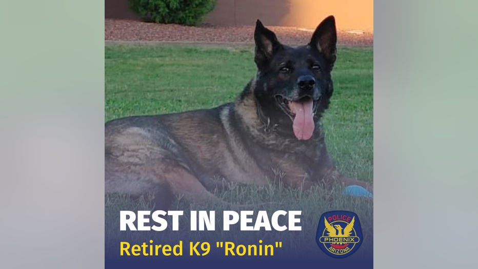 phoenix pd k9ronin