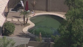 Surprise toddler drowns after being pulled from backyard pool; new details released