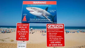 Cape Cod residents warned of great white shark migration headed their way