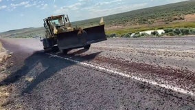 Watch: Endless sea of crickets overrun Idaho highway