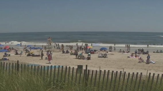 Arizona man bitten by shark on Long Island