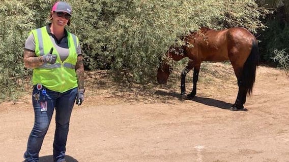 SRP worker rescues wild horse stuck in Arizona canal