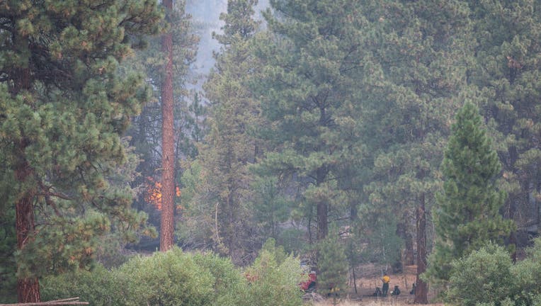 Fast Growing Patton Meadow Fire Burns In Southern Oregon