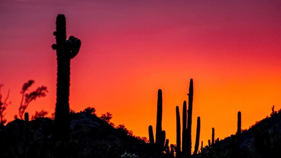 Mother Nature looks absolutely amazing, especially in Arizona! Thanks Annemarie for sharing this photo with us all!