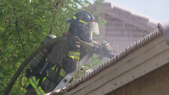 Three people, 7 dogs and Macaw rescued from Glendale house fire