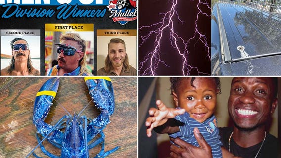 Sweet mullets, lightning strikes, blue lobsters: This week's heartwarming, offbeat headlines
