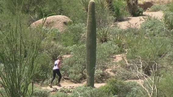 As Phoenix hiking trails close during extreme heat, other cities are seeing more hiker rescues