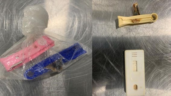 Human umbilical cords found in luggage at New Orleans airport