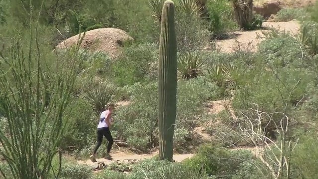 As Phoenix hiking trails close during extreme heat, other cities are seeing more hiker rescues