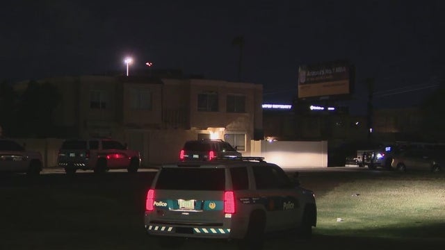 Teenager hurt, dog killed in south Phoenix shooting