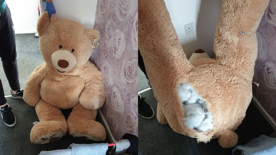 The giant stuffed teddy bear that the suspect used to hide from police is pictured in provided photos. (Credit: Rochdale GMP)
