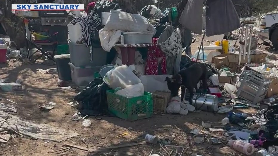 Sky Sanctuary captured footage of a homeless camp that held nearly 150 dogs.