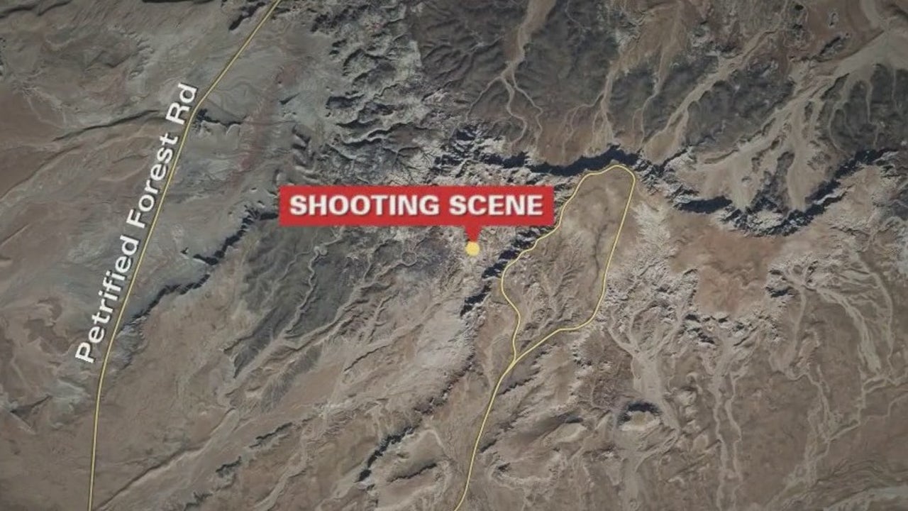 Petrified Forest shooting under investigation after bullet hits NPS vehicle - Vimarsana News