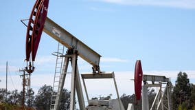 OPEC, allies cutting world oil supplies as prices fall