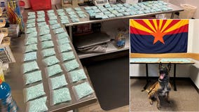 K-9 helps Cottonwood Police find 100K fentanyl pills during traffic stop; suspect arrested