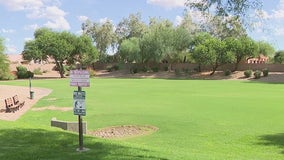 Scottsdale homeowners association tests out not overseeding and saw major benefits
