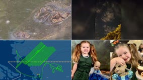UFO and alligator sightings, flipping the bird, creepy dolls: This week's heartwarming, offbeat headlines