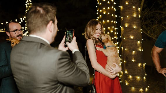 Cats for pest control, dogs for cuddle bunches: Arizona Humane offering new interactive programs