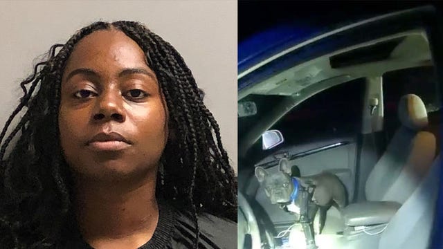 Arizona troopers recover dog stolen from California family