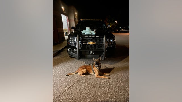 Cottonwood Police K-9 helps officers find 50K fentanyl pills during traffic stop