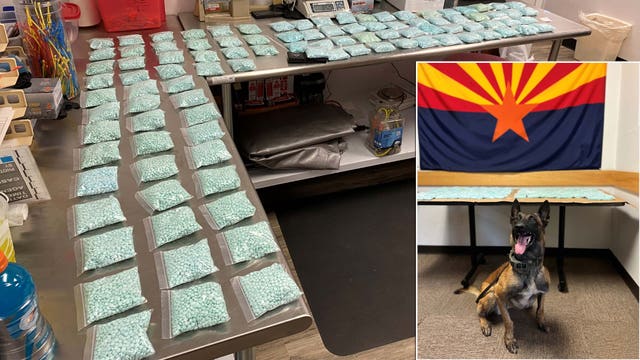 K-9 helps Cottonwood Police find 100K fentanyl pills during traffic stop; suspect arrested