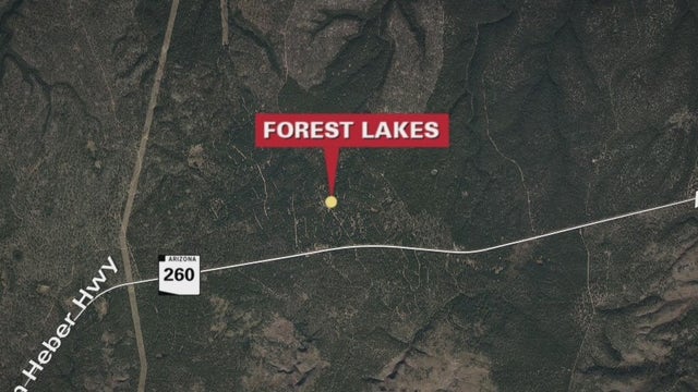 8-year-old girl dies, 3 other girls injured in crash near Forest Lakes