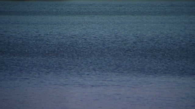 Arizona man drowns while launching boat in northern Michigan lake